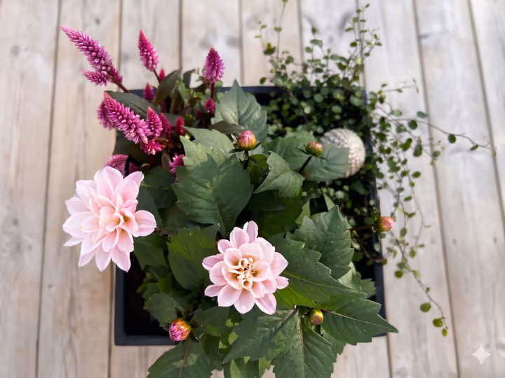 Sommarplantering 2