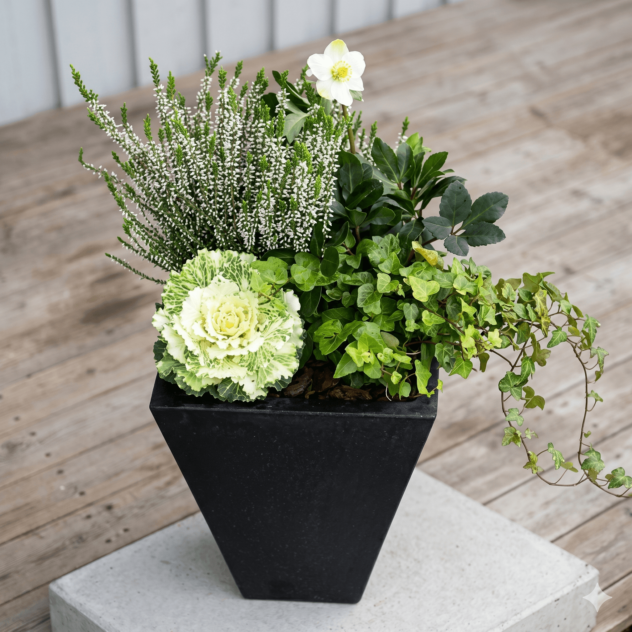 Höstplantering 2