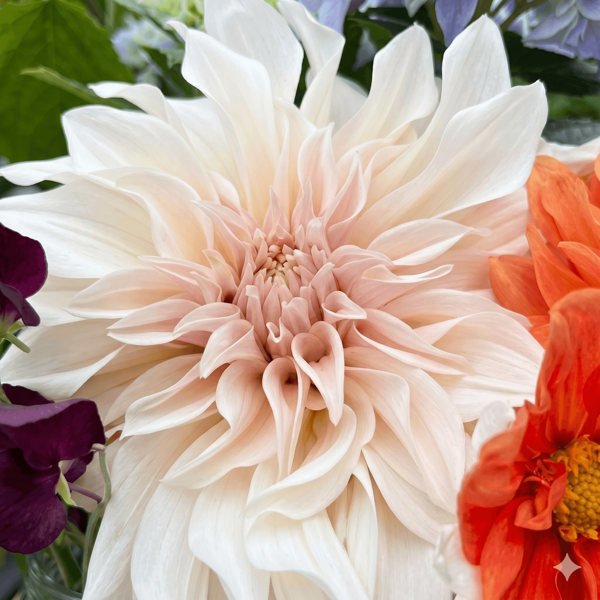 Sommarplantering 1
