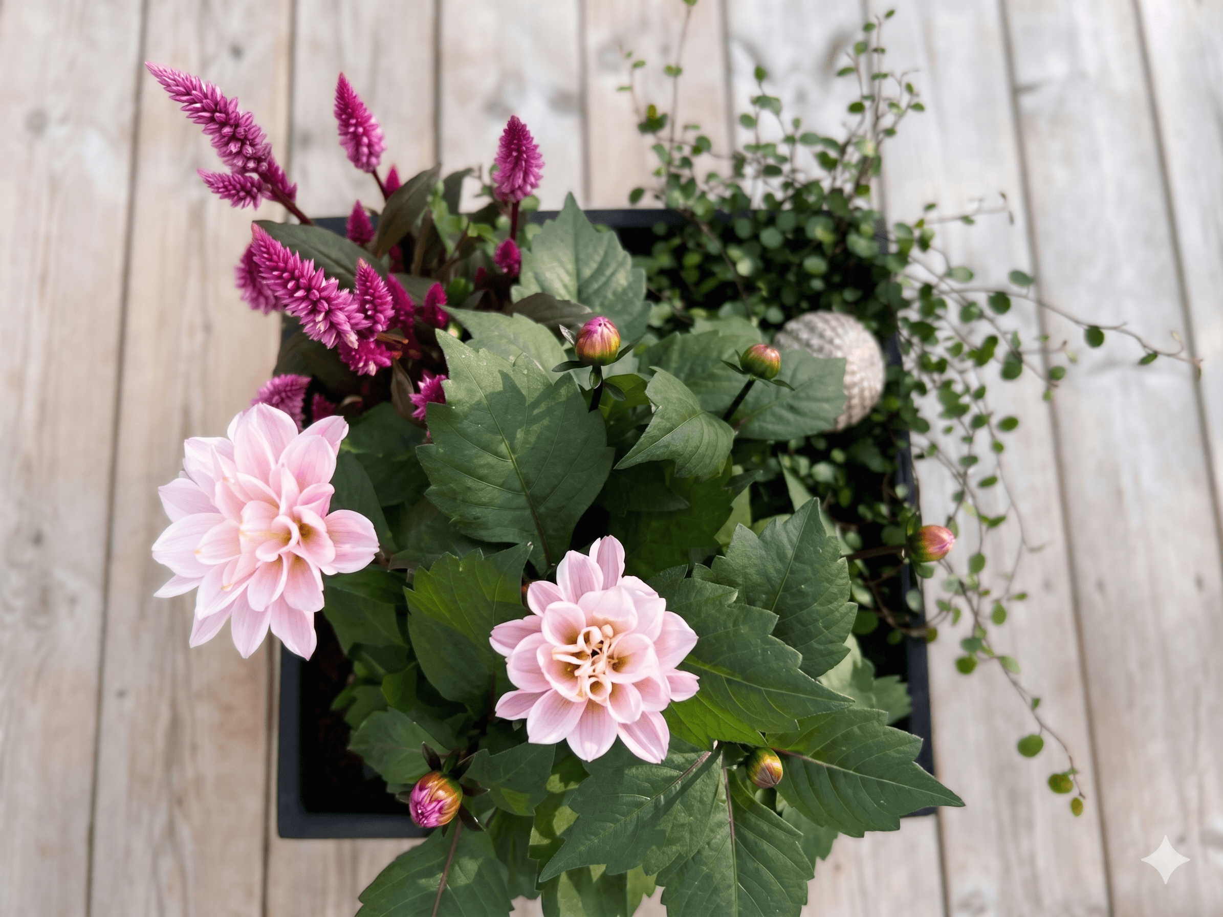 Sommarplantering 2